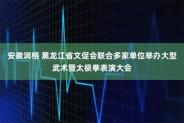 安徽润格 黑龙江省文促会联合多家单位举办大型武术暨太极拳表演大会