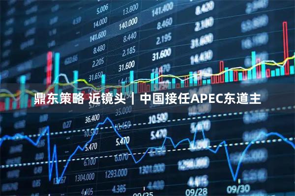 鼎东策略 近镜头｜中国接任APEC东道主
