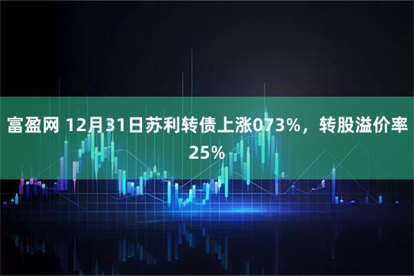 富盈网 12月31日苏利转债上涨073%，转股溢价率25%