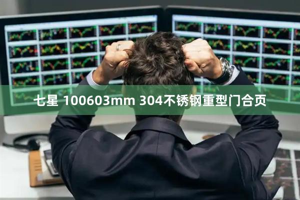 七星 100603mm 304不锈钢重型门合页