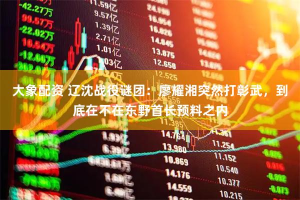 大象配资 辽沈战役谜团：廖耀湘突然打彰武，到底在不在东野首长预料之内