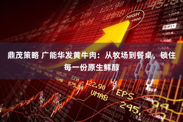 鼎茂策略 广能华发黄牛肉：从牧场到餐桌，锁住每一份原生鲜醇
